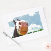 glimlachte paarden rechthoekige sticker (Envelop)