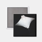 glimlachte Ray Magneet (Voorkant / Achterkant)