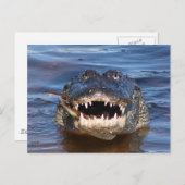 Glimlende krokodil briefkaart (Voorkant / Achterkant)