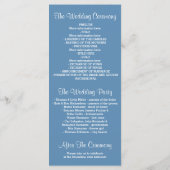 Glitter Shimmer Blue String Lights Programma (Achterkant)