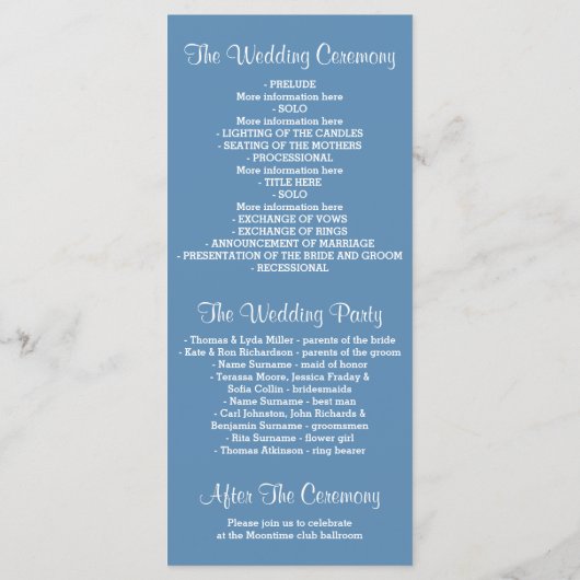 Glitter Shimmer Blue String Lights Programma (Achterkant)