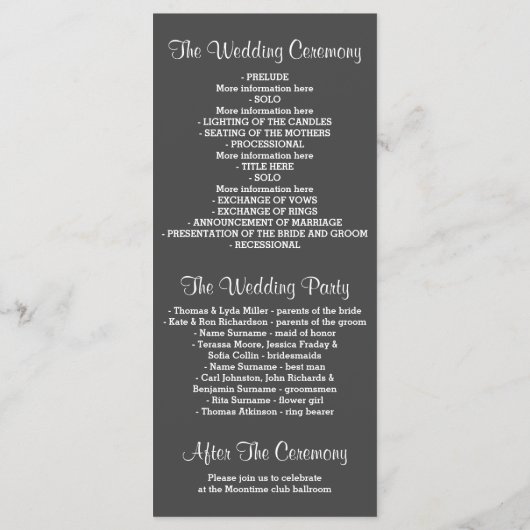 Glitter Shimmer Silver folie String Lights Program Programma (Achterkant)