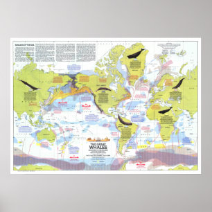 " Global: 1976 - Wale der Welt Wanderkarte ... Poster