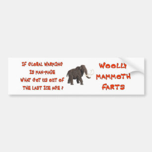 GLOBAL WARMING HOAX BUMPERSTICKER