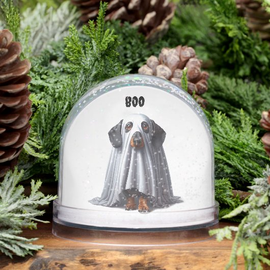 Globe Des Neiges À Deux Côtes De Dachshund (Hiver)