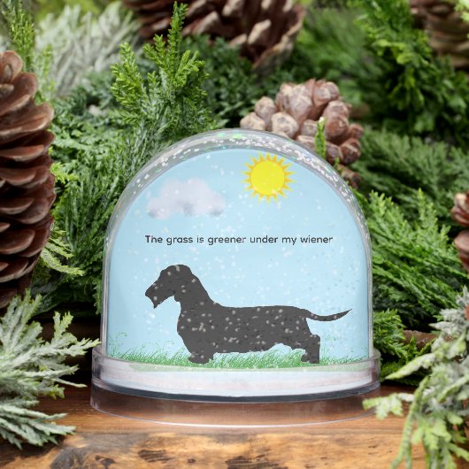 Globe des neiges de Dachshund (Hiver)