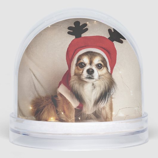 Globe des neiges des chiens de Noël (Avant)