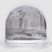 Globe des neiges des étangs neigeux (Arrière)