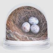 Globe des neiges des OEufs cardinaux (Avant)