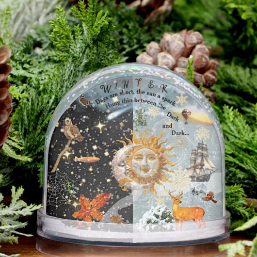 Globe des neiges d'hiver cosmique