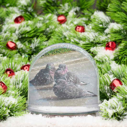 Globe des neiges - Pigeons (Noël)