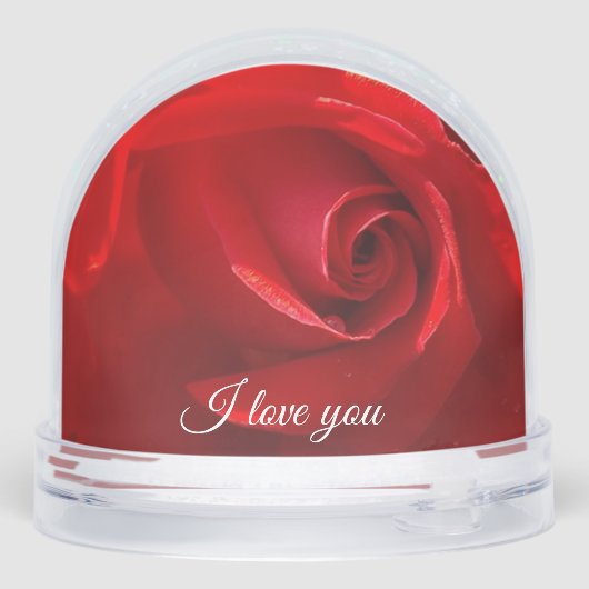 Globe des neiges rose (Arrière)