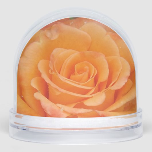 Globe des neiges Roses orange (Avant)