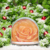 Globe des neiges Roses orange (Noël)