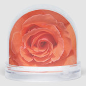 Globe des neiges Roses orange (Arrière)