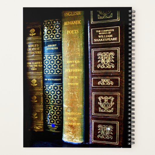 Globe et livres vintages (Dos)