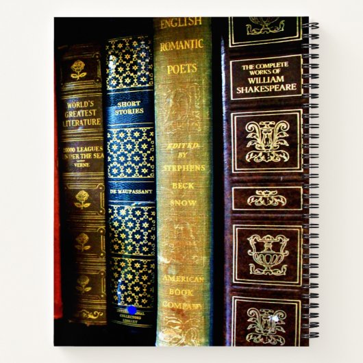 Globe et livres vintages (Dos)