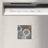 Globe Thistle Magnet (In Situ (Lave-vaisselle))