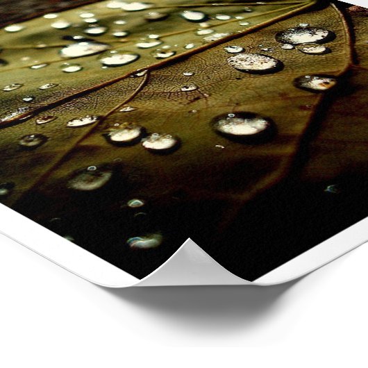 Gloed Drop Poster (Hoek)