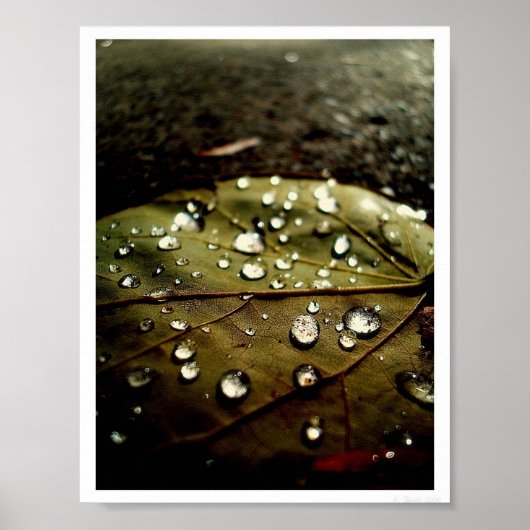 Gloed Drop Poster (Voorkant)