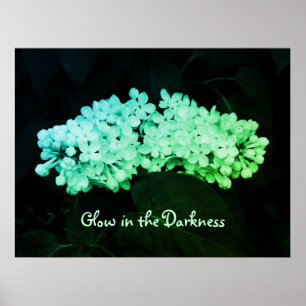 Gloed in de Darkness Green Lilacs Photo Poster