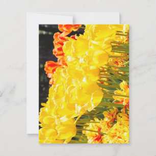 Gloeiend in de zon briefkaart