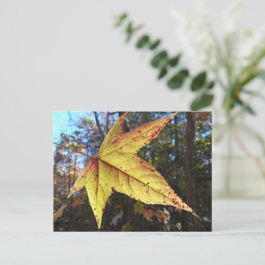 Gloeiend zure bladeren in het bos briefkaart (Staand voorkant)