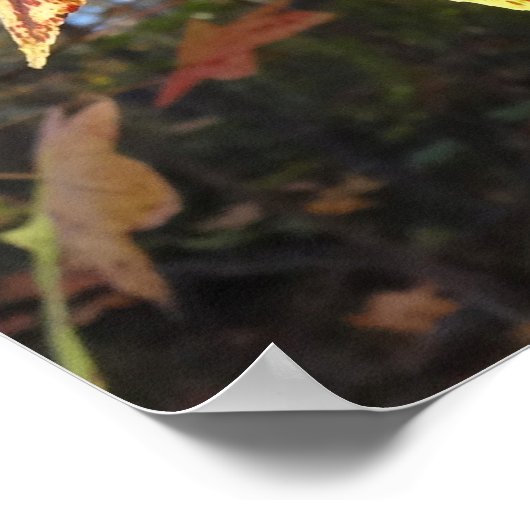 Gloeiend zure bladeren in het bos poster (Hoek)