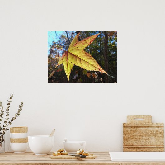 Gloeiend zure bladeren in het bos poster (Keuken)