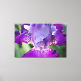 Gloeiende Iris Natuur / Bloemen / Botanische Foto Canvas Afdruk