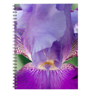 Gloeiende Iris Natuur / Bloemen / Botanische Foto Notitieboek