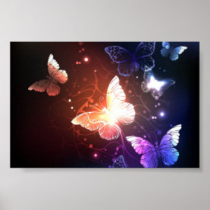 Gloeiende Nachtvlinders Poster