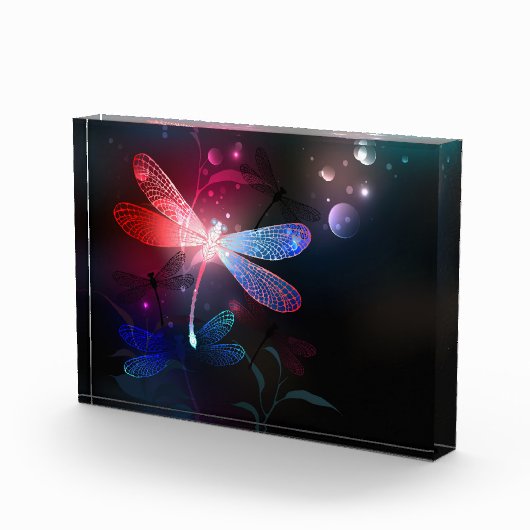 Gloeiende rode libel fotoblokken (Rechts)