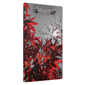 Gloeiende sintels van de herfst klembord (Rechts)