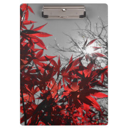 Gloeiende sintels van de herfst klembord