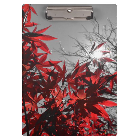 Gloeiende sintels van de herfst klembord (Voorkant)