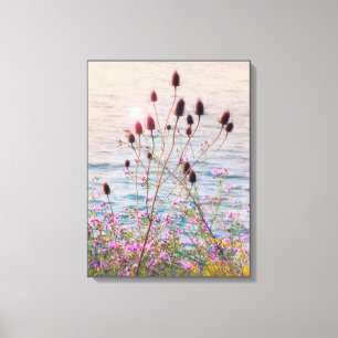 Gloeiende terug verlicht wilde Teasels en Thistles Canvas Afdruk