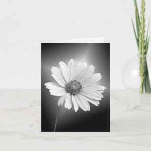 Gloeiende witte Daisy Note Card Kaart