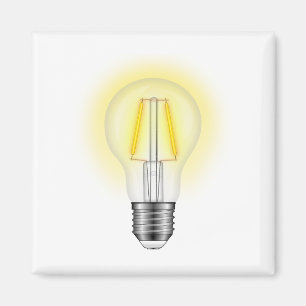 Gloeilamp Magneet