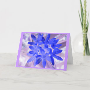 Gloire De La Carte De Voeux Bleue Chocking Neige