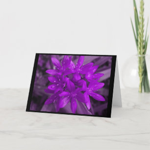 Gloire De La Carte De Voeux Violet Neige