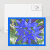 Gloire De La Carte Postale Bleue Fluorescente De N (Devant / Derrière)