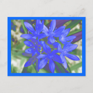 Gloire De La Carte Postale Bleue Fluorescente De N
