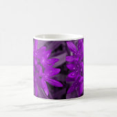 Gloire De La Mug Violette De Neige (Centre)