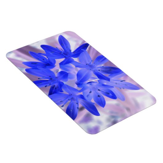 Gloire de la neige Choquant Blue Premium Magnet (Côté Droit)