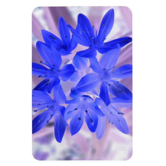 Gloire de la neige Choquant Blue Premium Magnet (Vertical)