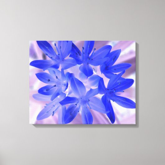 Gloire de la neige Shocking Bleue toile Imprimer (Recto)