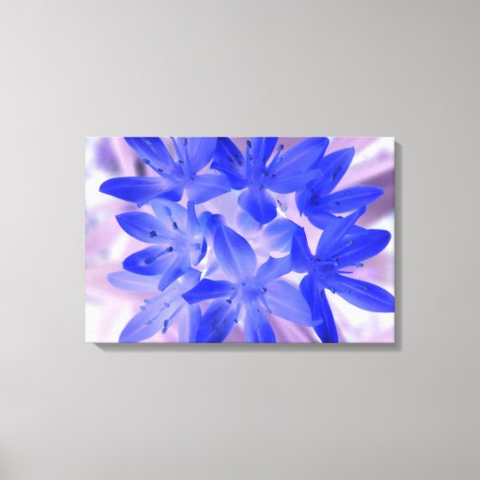 Gloire de la Neige Toile de Choc Bleu Impression s (Recto)