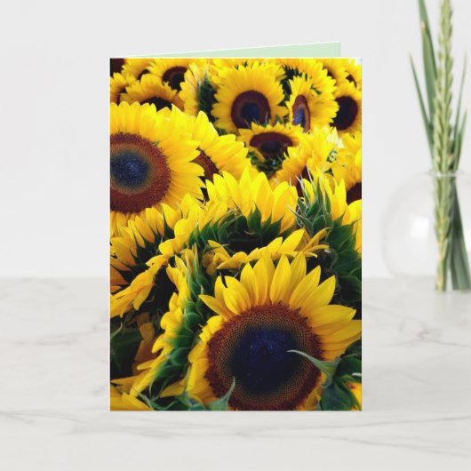 Gloire de Tournesol 1 carte (Devant)