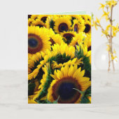 Gloire de Tournesol 1 carte (Fleur jaune)